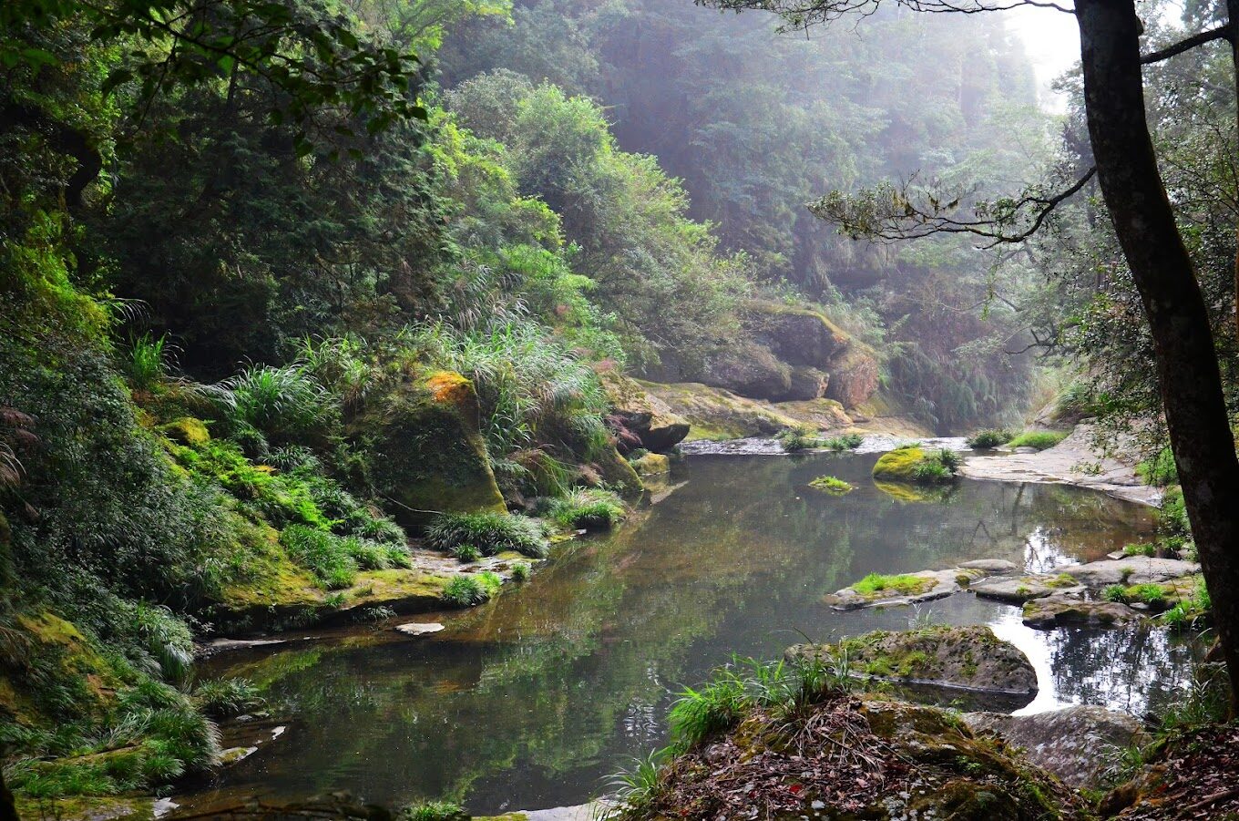 杉林溪必遊景點全攻略｜避開遊客擁擠的時間與私藏秘境