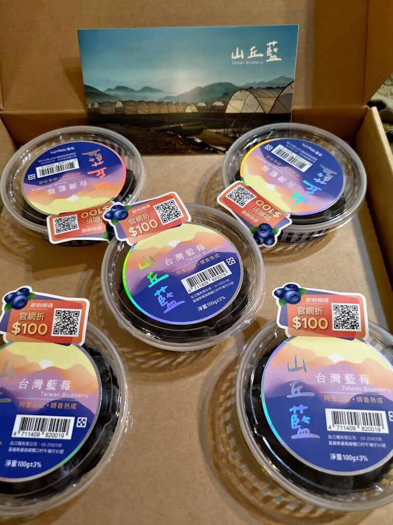 2025阿里山必遊景點指南:避開人潮的小眾秘境