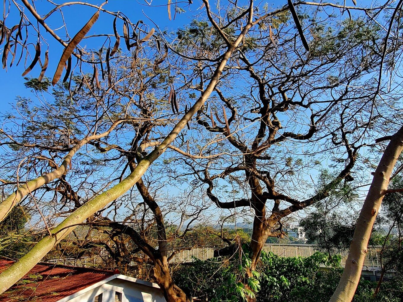 2025彰化必去景點懶人包｜避開人潮，探索不為人知的美景