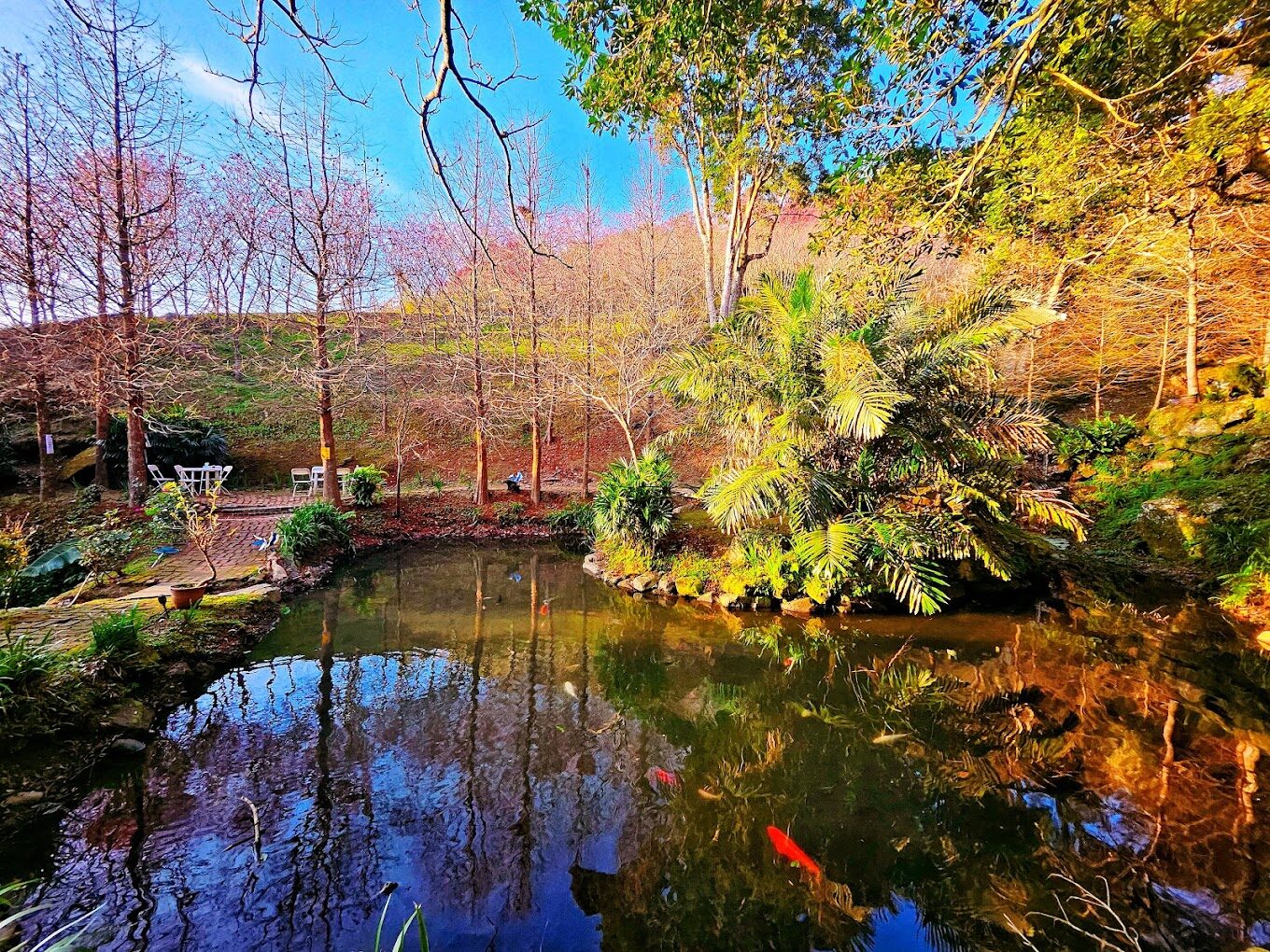 【2025】桃園景點全攻略|不可錯過的休閒打卡地點