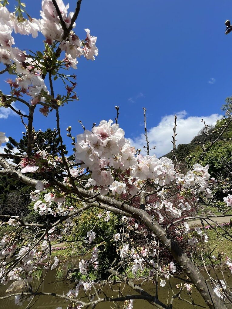 陽明山必去景點推薦｜你絕對不能錯過的自然美景