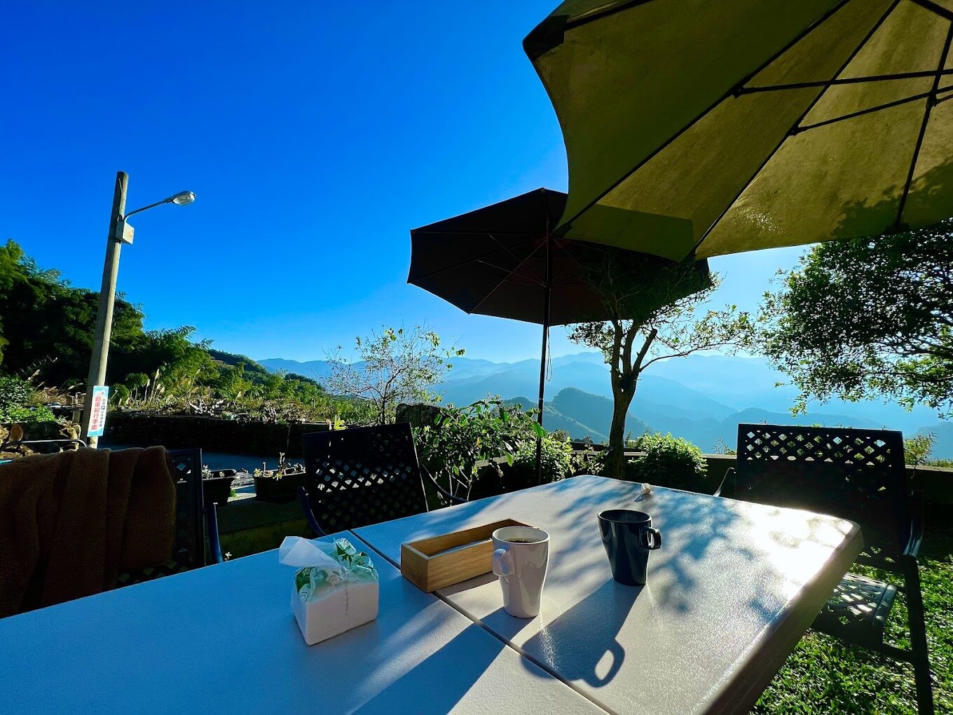 2025阿里山住宿指南｜選擇最佳住宿體驗