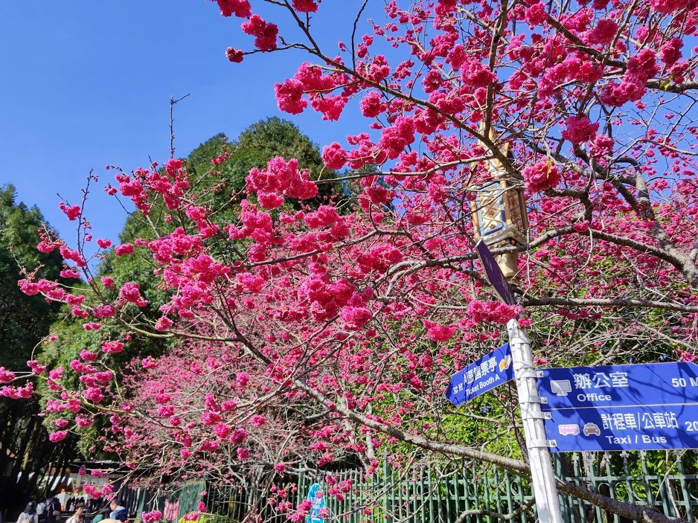 穿著傳統服飾的原住民正在進行文化表演