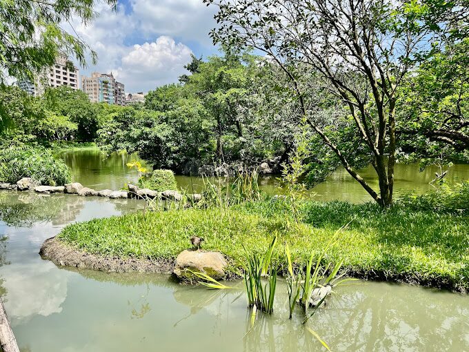【2025】大安森林公園必遊攻略|你不能錯過的景點與在地美食