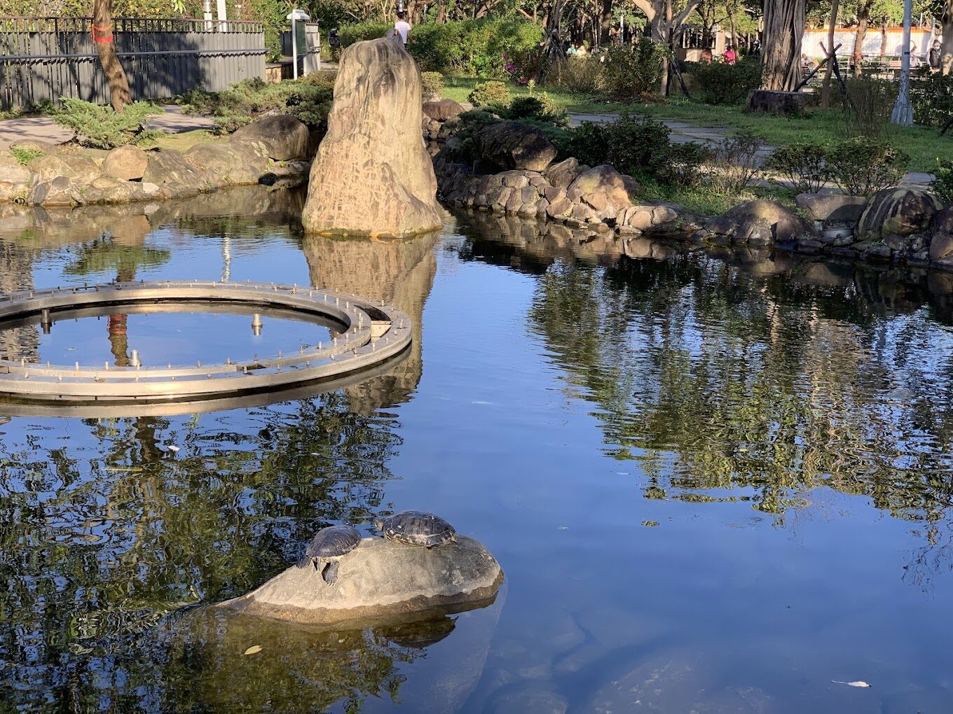 【2025】大安森林公園必遊攻略｜你不能錯過的景點與在地美食
