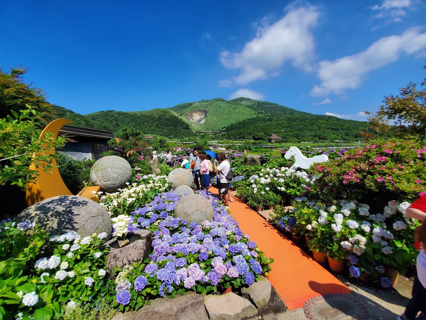 陽明山必去景點揭密｜不容錯過的自然美景
