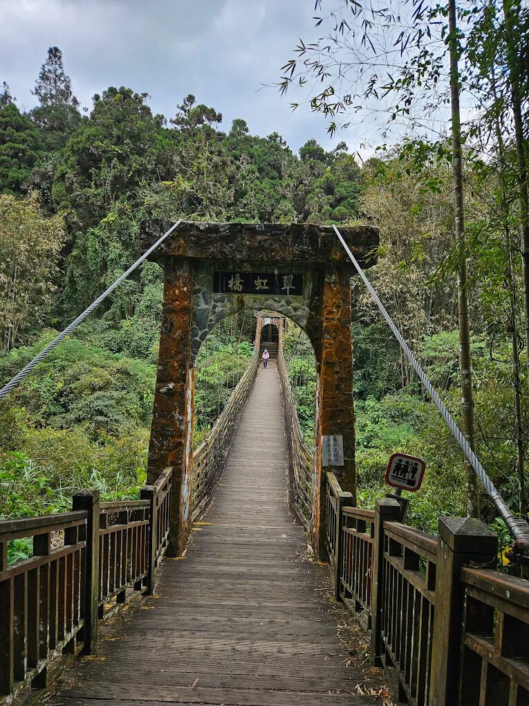 溪頭福華必讀指南｜不可錯過的體驗與活動