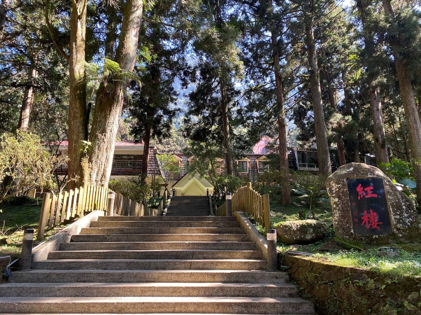 溪頭福華必讀指南｜不可錯過的體驗與活動