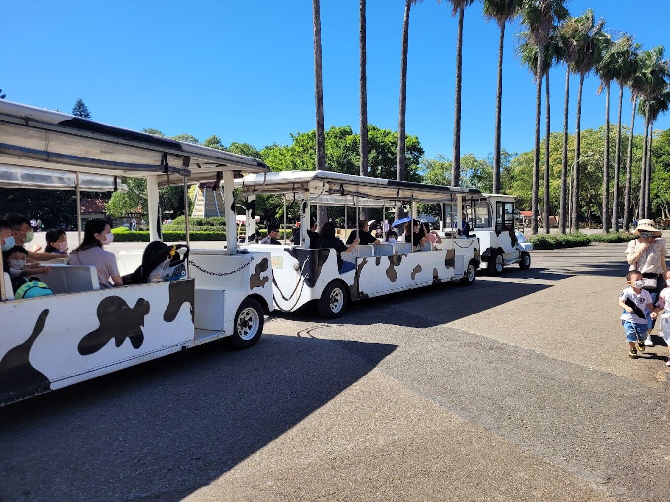 【2025】避免遊玩失望！埔心牧場必去的景點