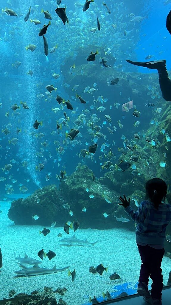 2025 Xpark 必去景點推薦｜亮點與避開人潮的小秘訣