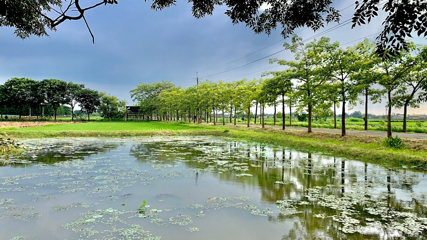 新營、白河景點探索：你不能錯過的在地秘境