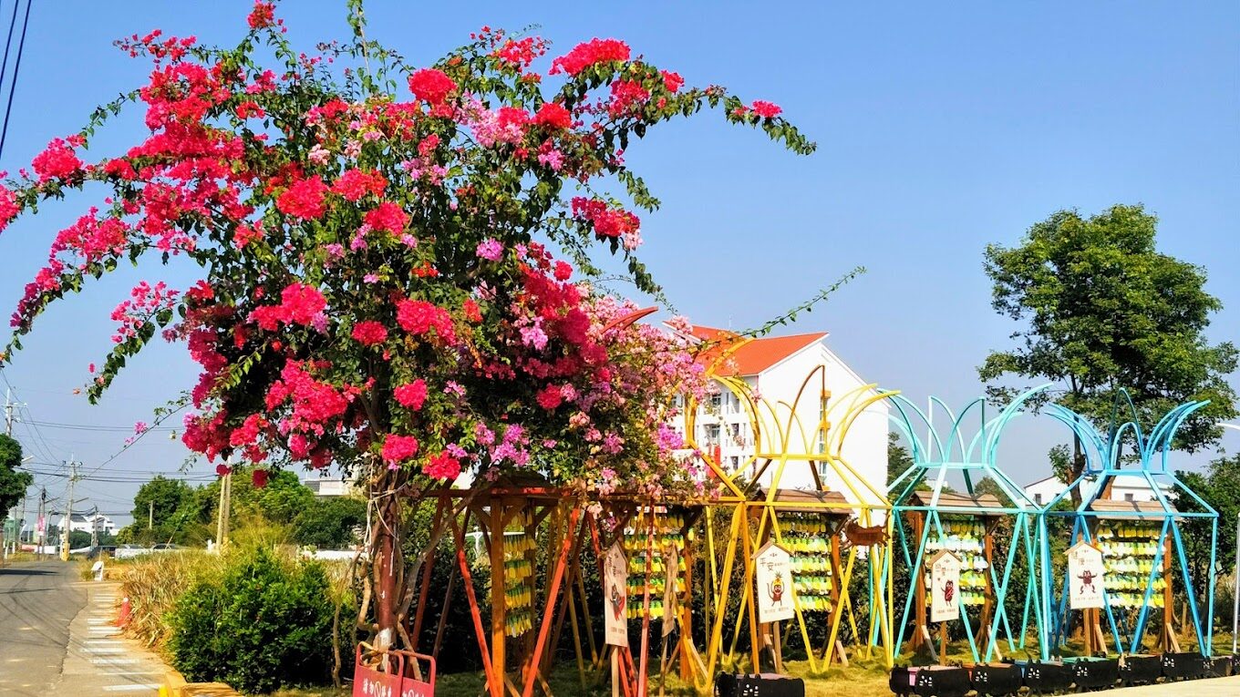 嘉義景點不容錯過的隱藏秘境！讓你流連忘返