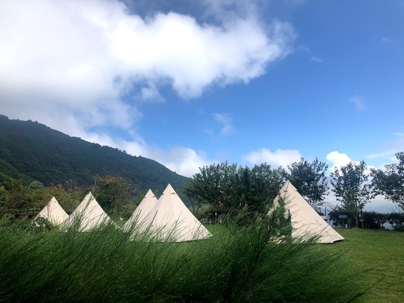 【2025】烏來住宿：絕不能錯過的獨特住宿體驗