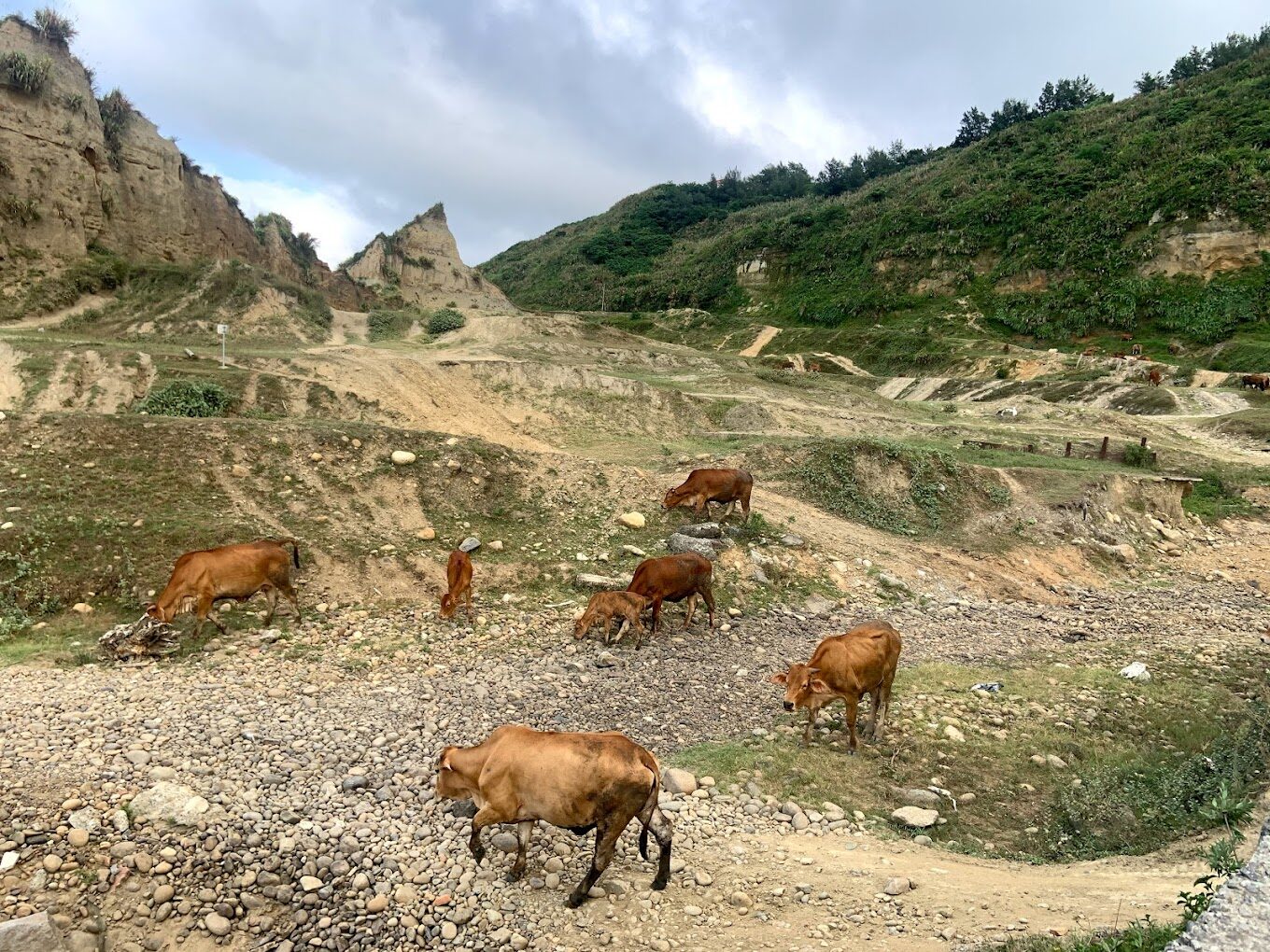 林口景點探秘：2025必訪的驚奇景點