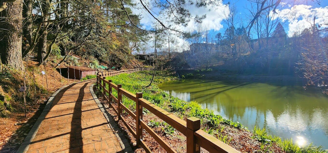 【2025】福壽山農場一日遊攻略｜必拍景點、隱藏美食推薦