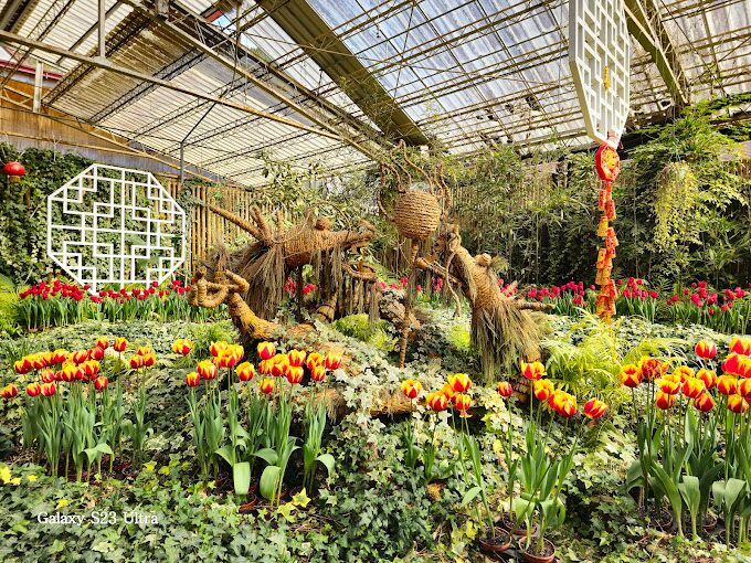 【2025最新】杉林溪住宿推薦：避開常見住宿陷阱