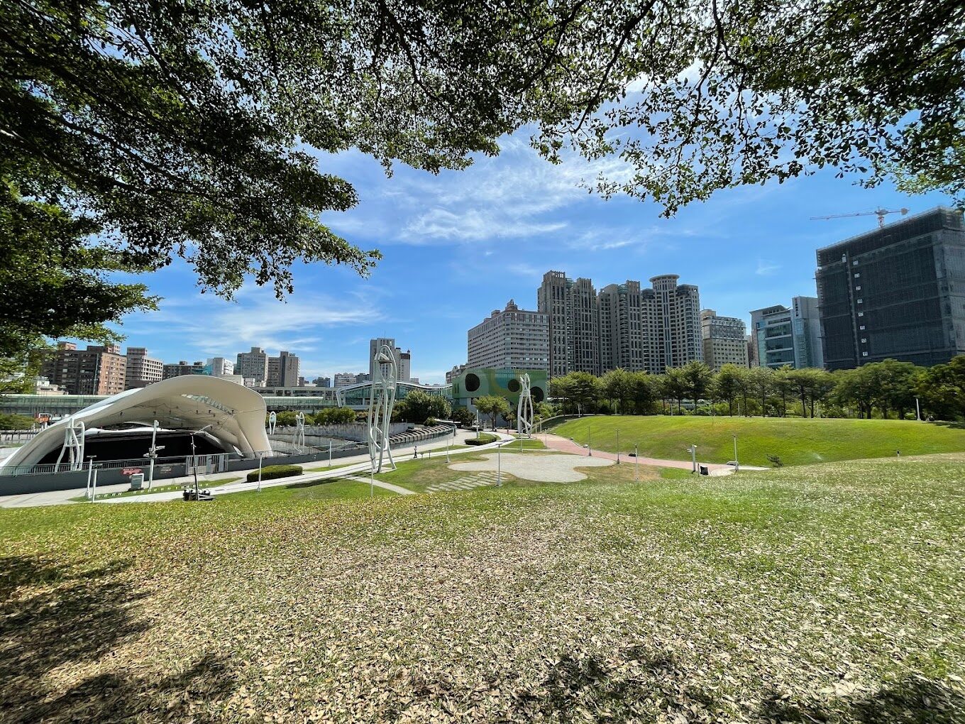 探索文心森林公園：你絕對不能錯過的秋季活動