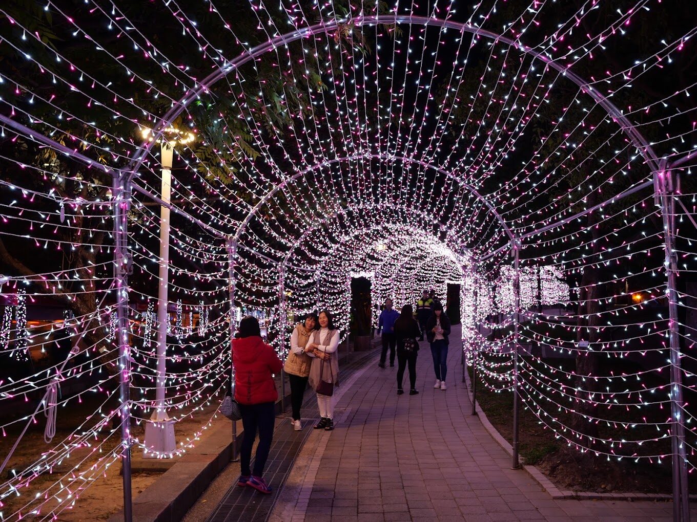 探索文心森林公園：你絕對不能錯過的秋季活動