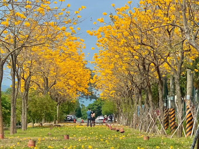 公園內乾淨的步道