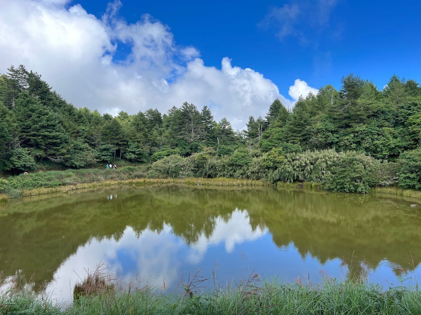 清幽靜謐的小雪山天池