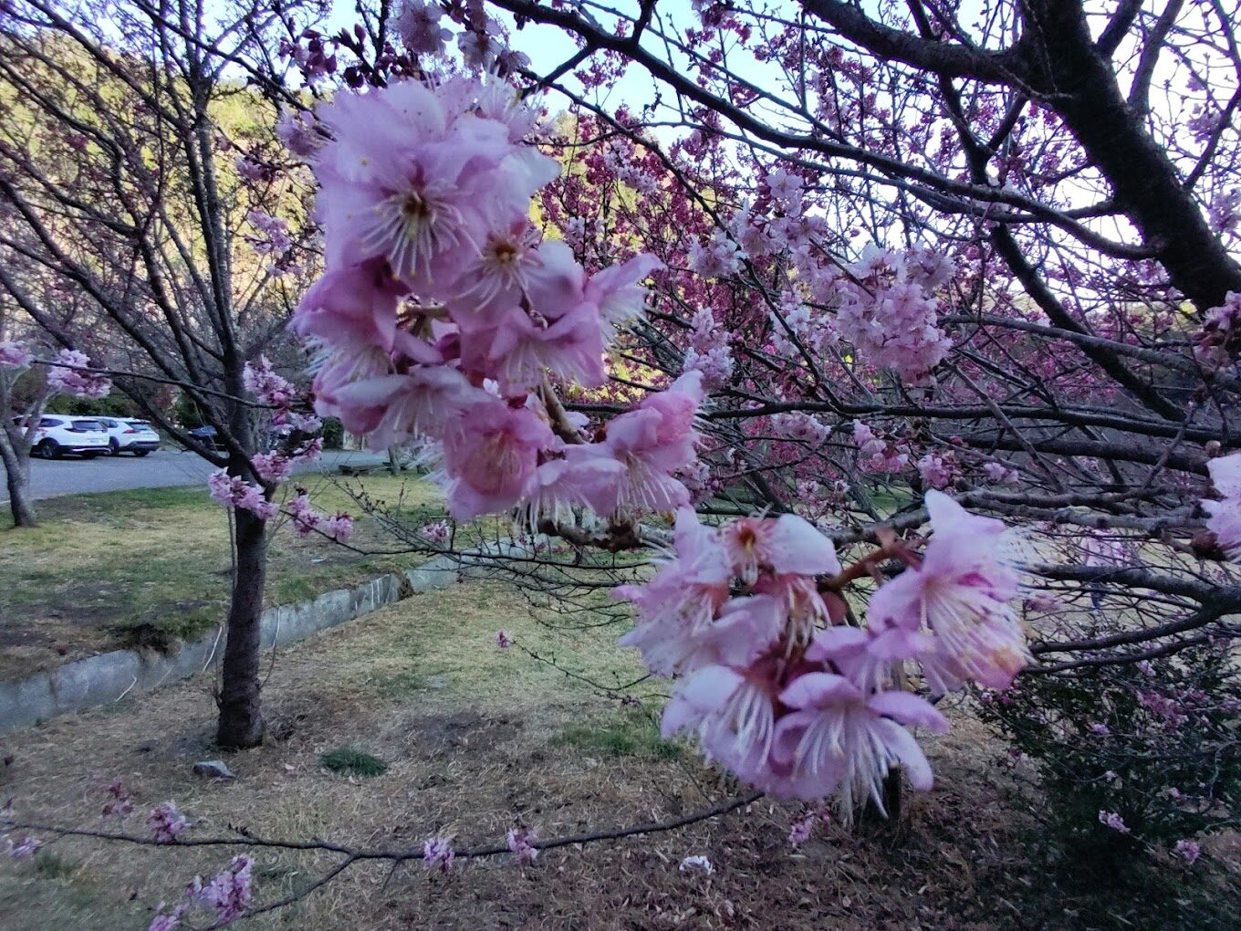 【2025】雪霸國家公園必做的事｜避開人潮的秘境推薦