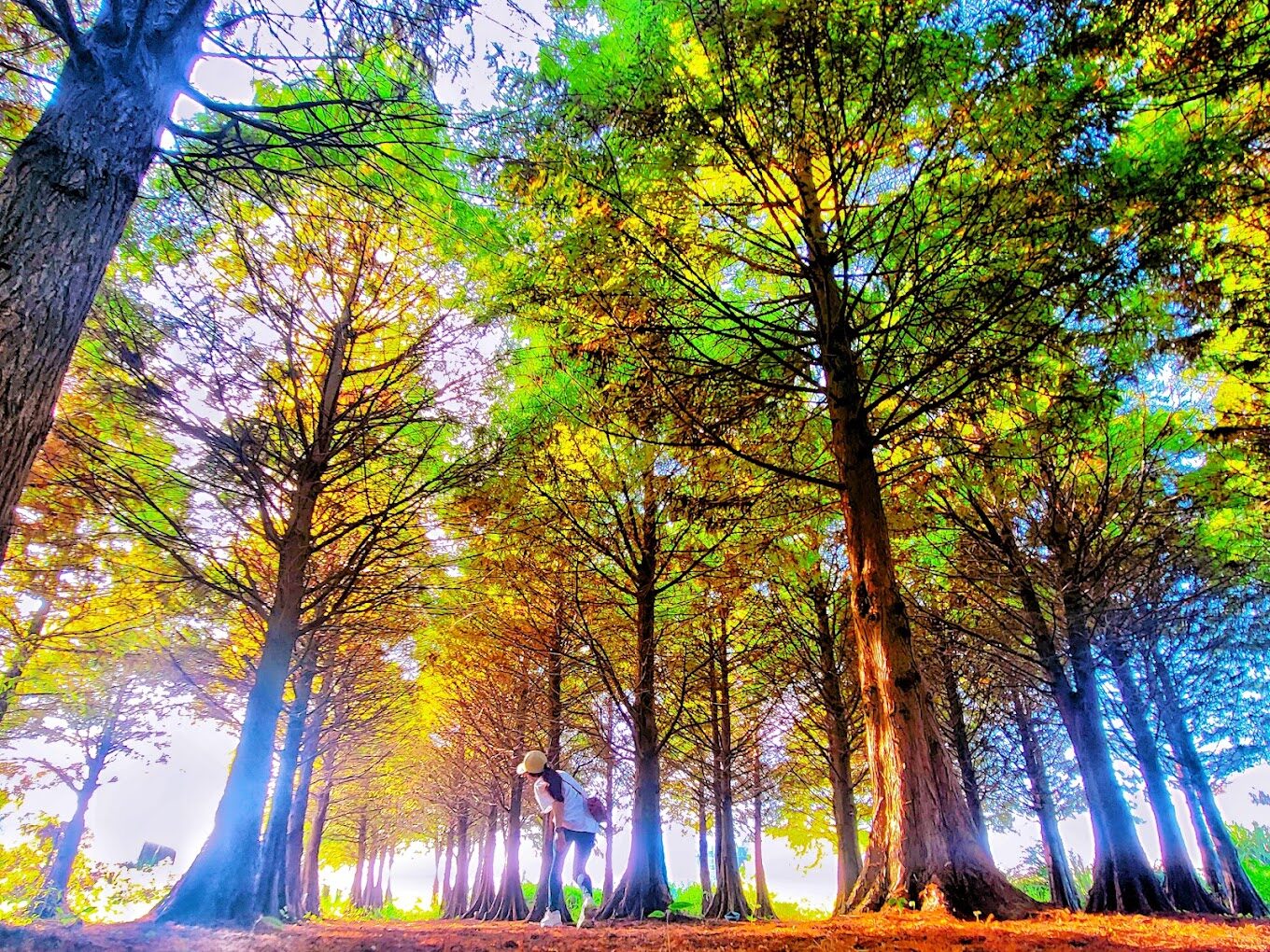 【2025】桃園必去景點：絕不能錯過的隱藏美景