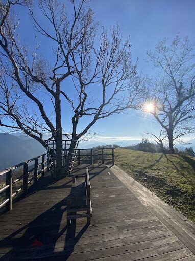 清境農場必遊景點：絕不能錯過的體驗