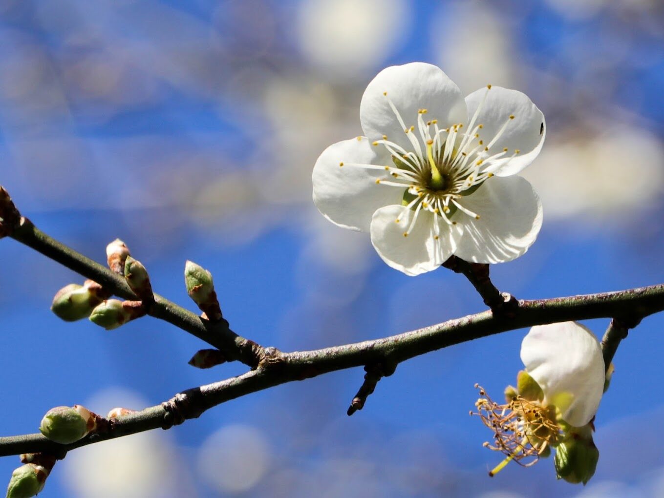 【2025】桃園必去景點：絕不能錯過的隱藏美景