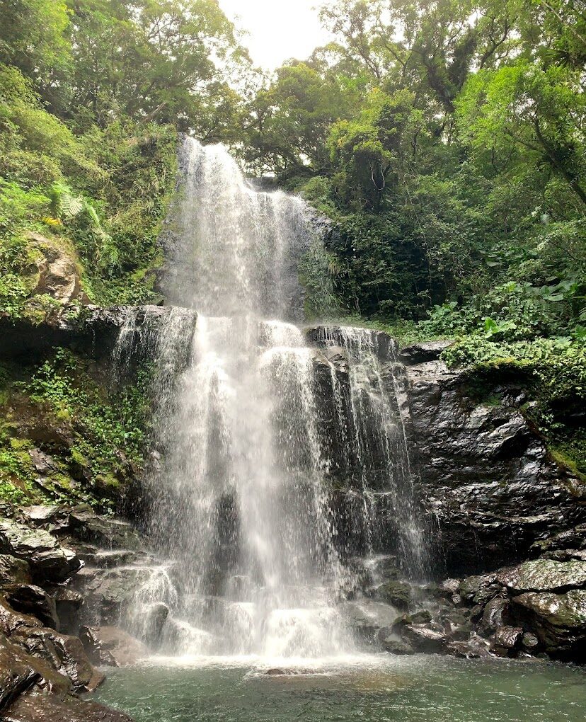 三峽景點必看清單｜不容錯過的隱藏秘境
