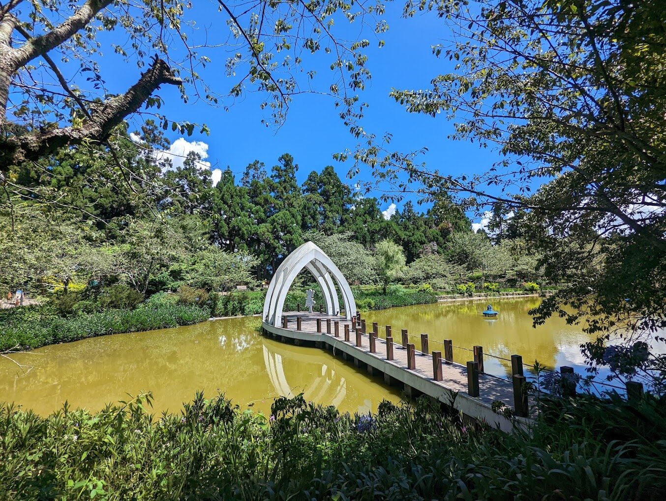 【2025】不可錯過的南投景點大揭密