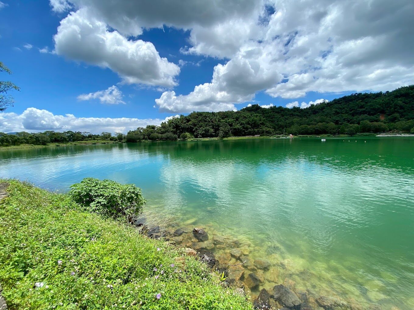 【2025】不可錯過的南投景點大揭密