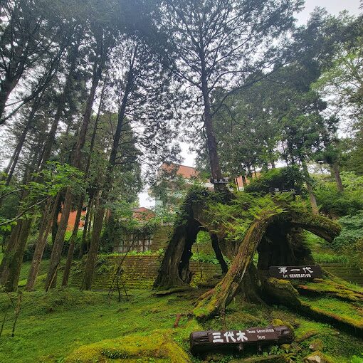 【2025】嘉義景點不容錯過！必遊地點推薦