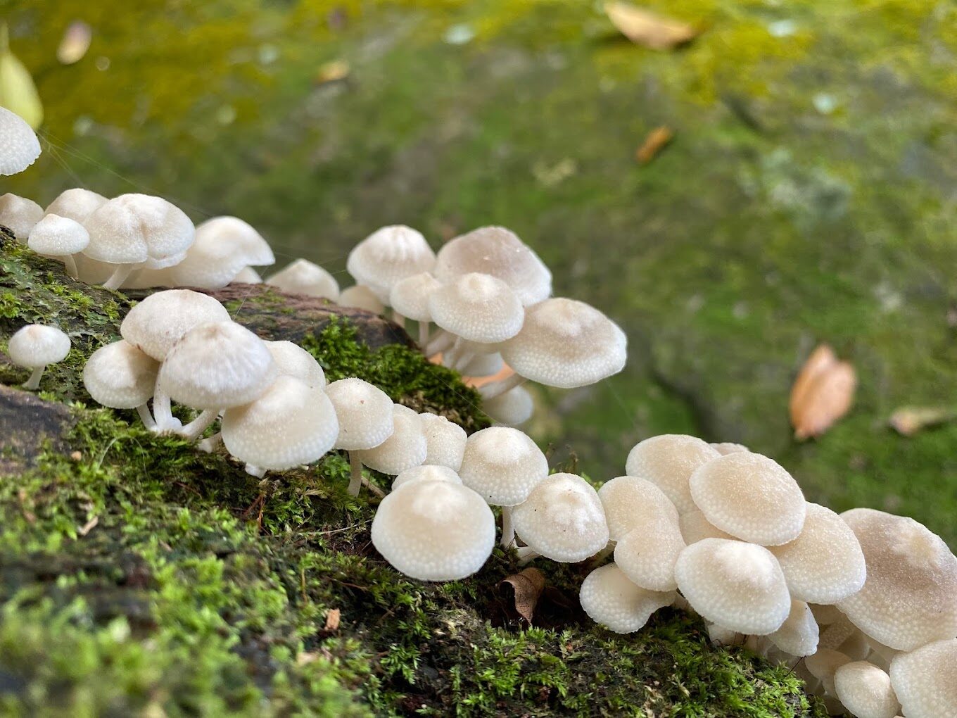青山瀑布的必拍景點｜攝影愛好者絕不能錯過的秘密景點