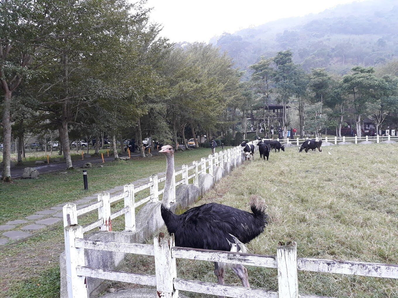 【2025花蓮景點】你絕對不能錯過的秘境推薦