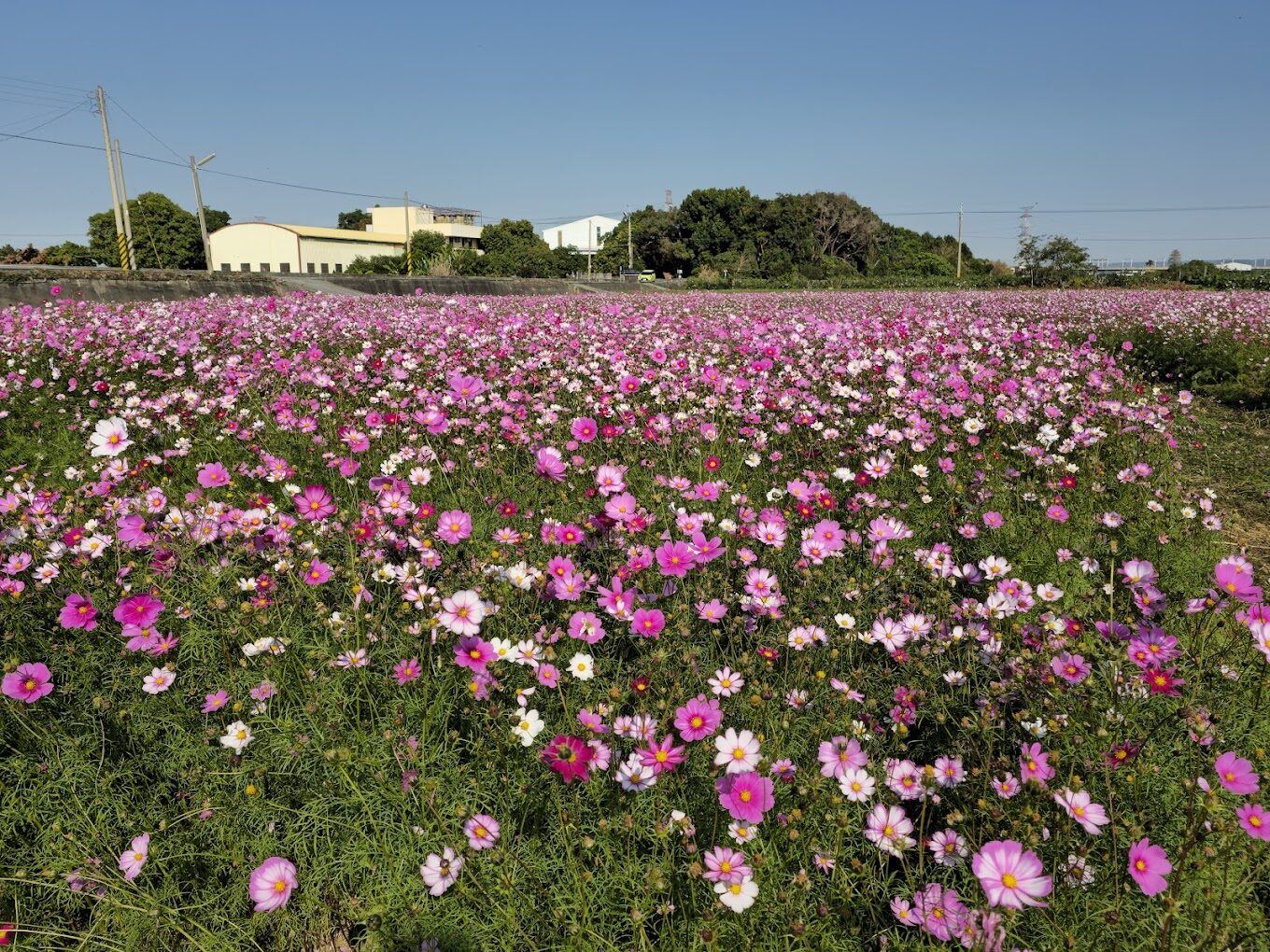 2025年不可錯過的田中景點：必訪旅遊地點完整攻略