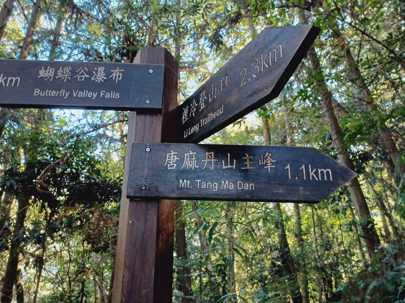 谷關七雄簡單攻略｜新手登山客必看路線推薦