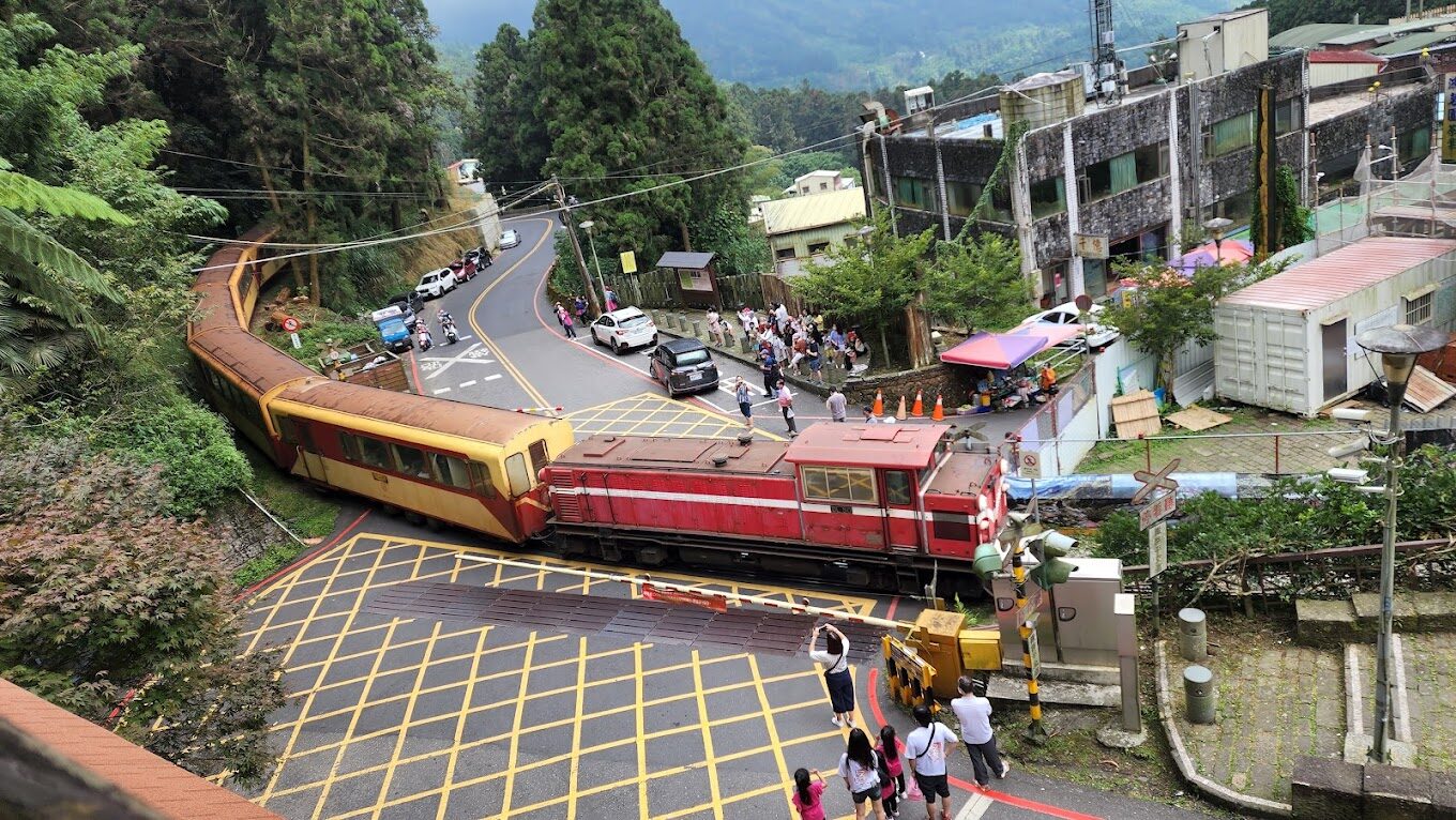 【2025最新】初探阿里山:避開觀光人潮的秘境景點推薦