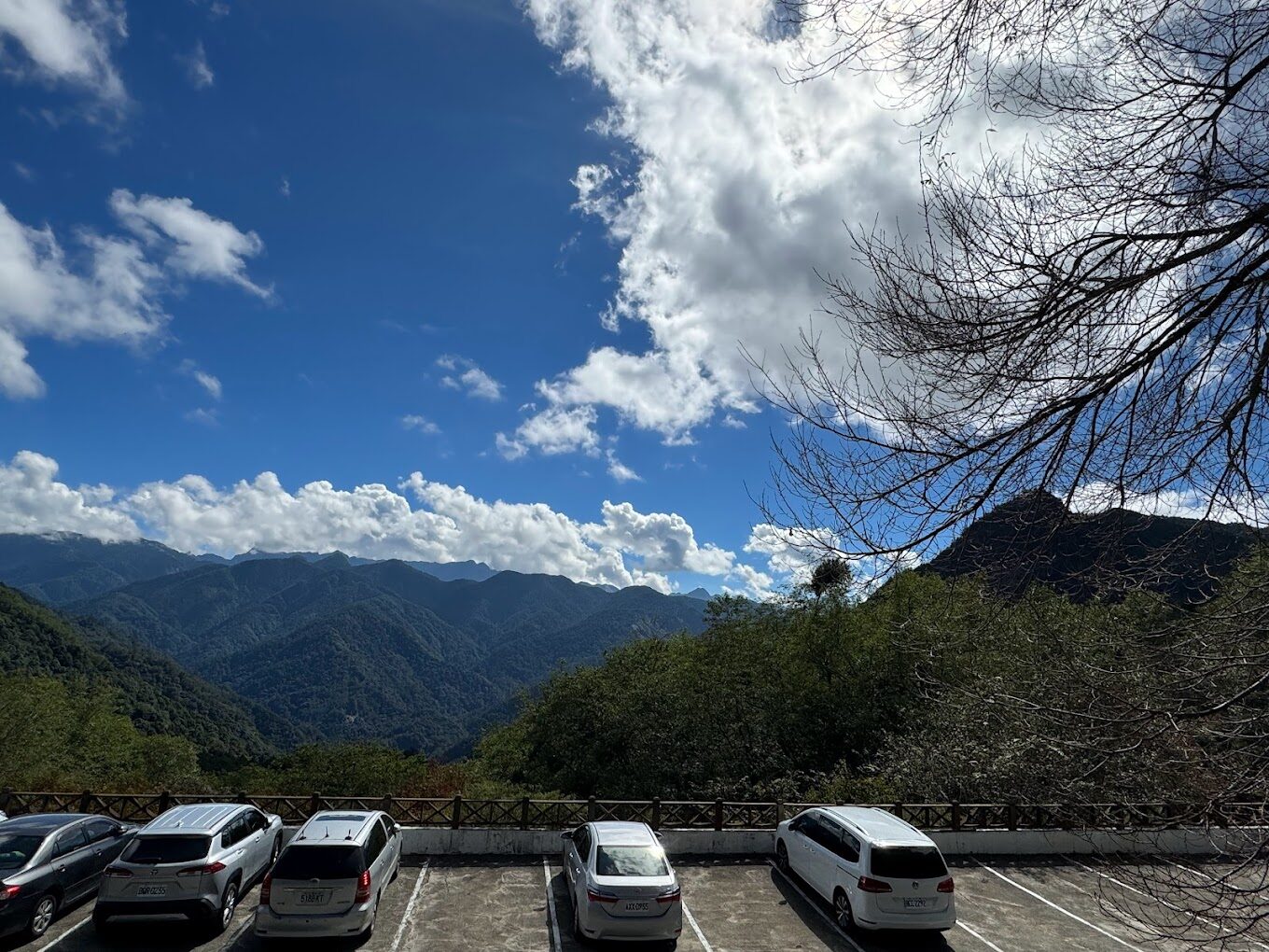 觀霧山莊：必知的住宿理由，讓您的旅程無遺憾