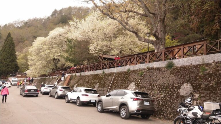 觀霧山莊：必知的住宿理由，讓您的旅程無遺憾