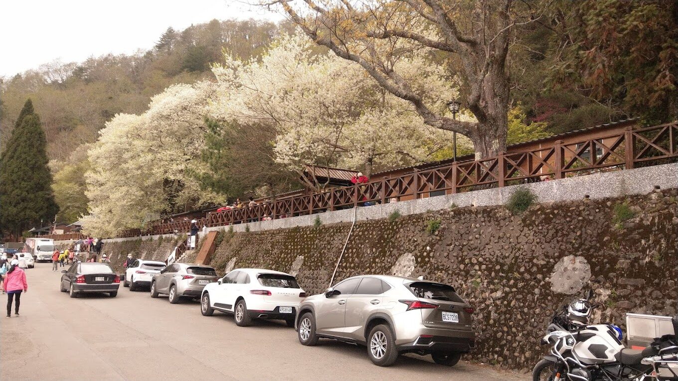 觀霧山莊：必知的住宿理由，讓您的旅程無遺憾