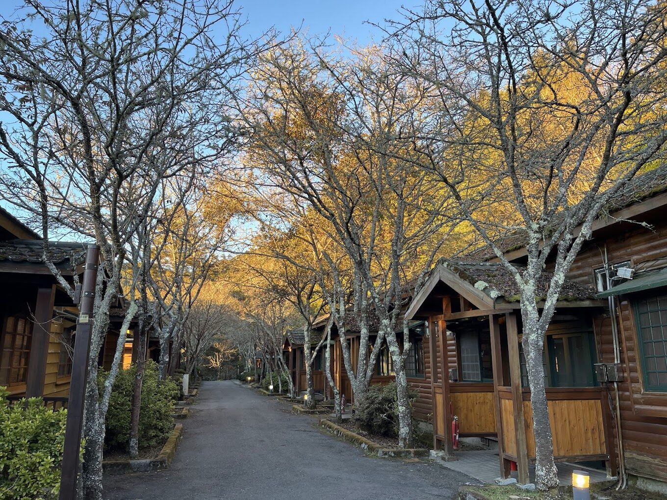 必去！大雪山戶外活動推薦（含交通攻略與注意事項）