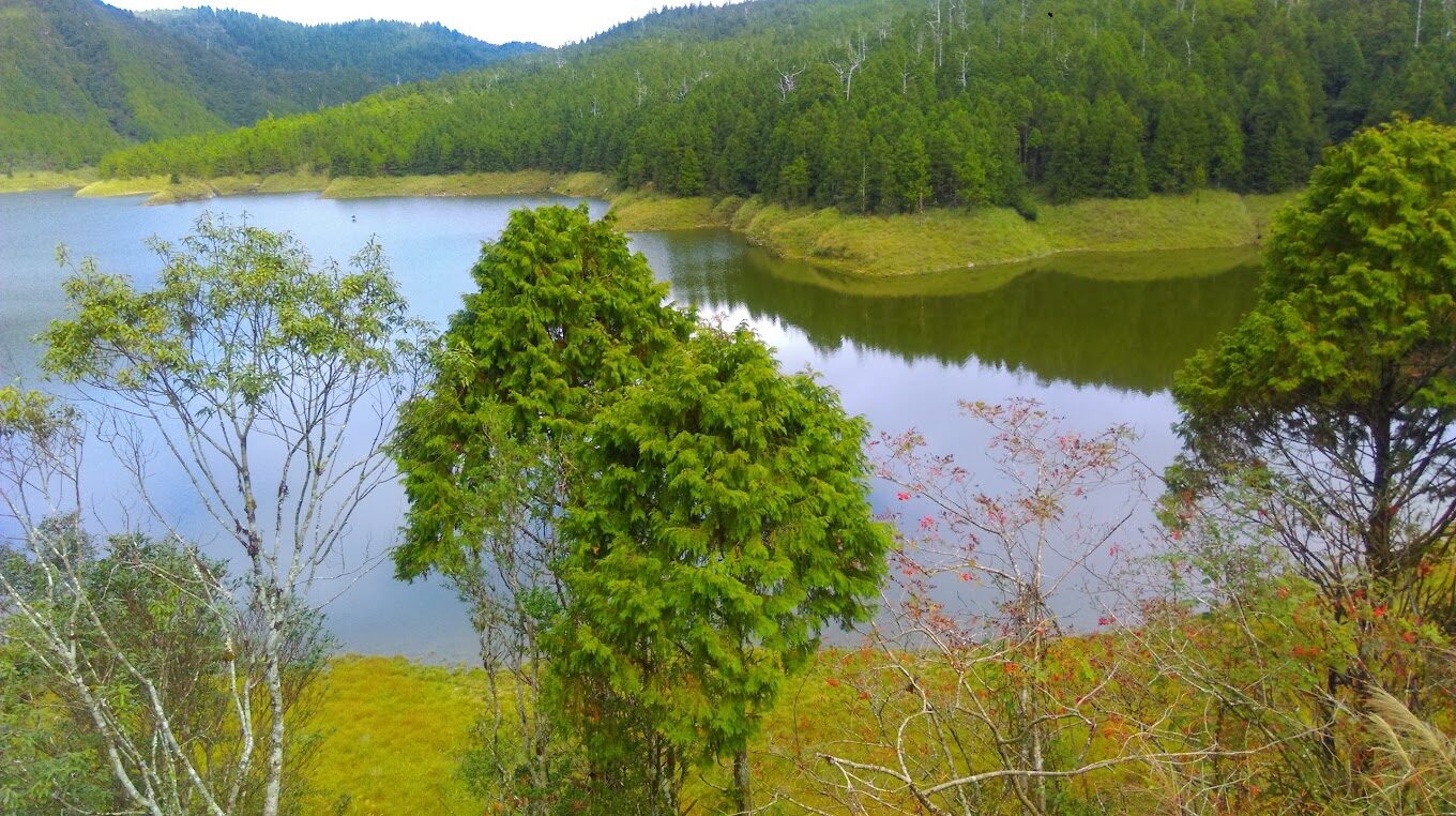 探索太平山國家森林遊樂區的必做活動｜揭開隱藏的自然魅力