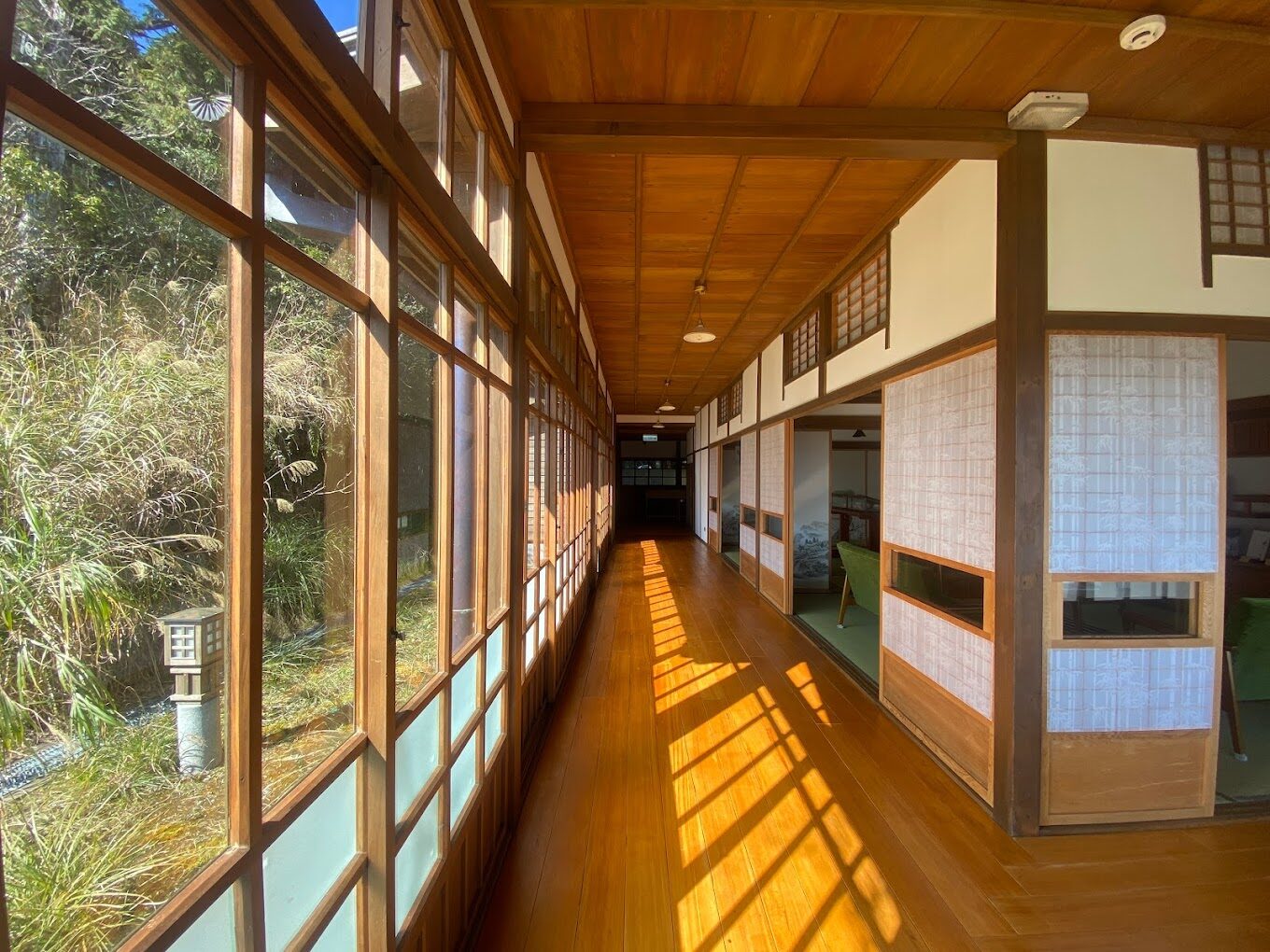 探索太平山國家森林遊樂區的必做活動|揭開隱藏的自然魅力