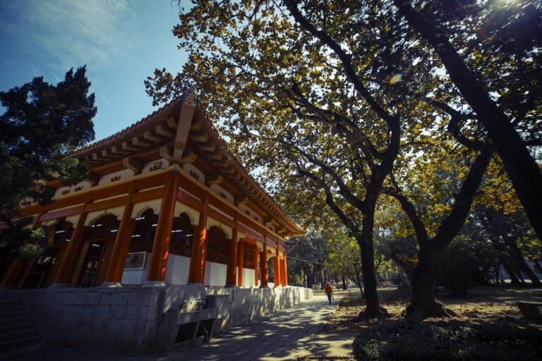 【2025】嘉義景點必訪清單｜絕對不能錯過的特色景點