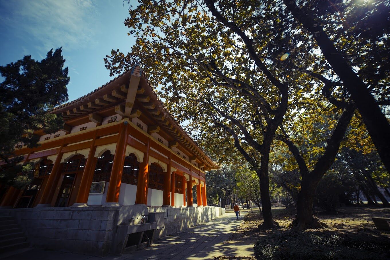 【2025】嘉義景點必訪清單｜絕對不能錯過的特色景點