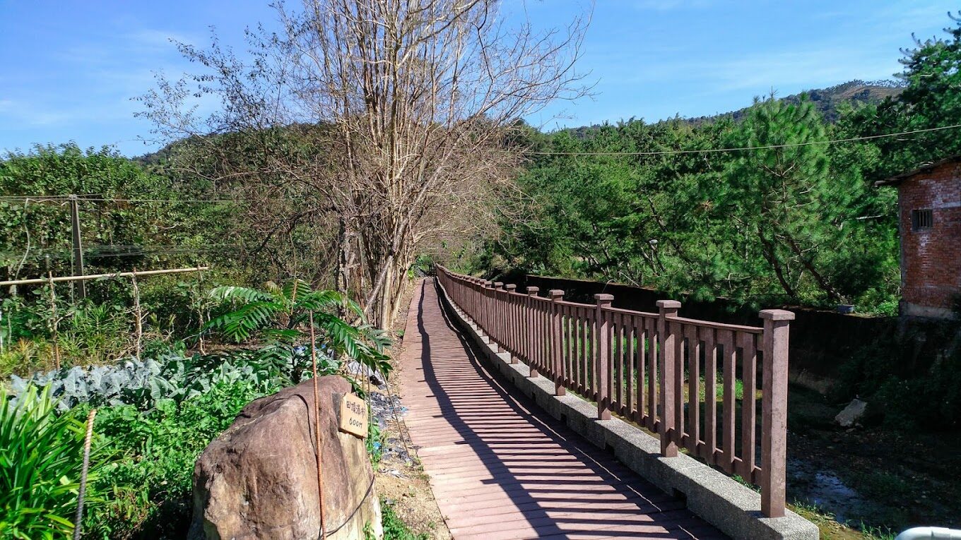 【2025最新】探索澀水森林步道的理由｜遠離城市喧囂的世外桃源