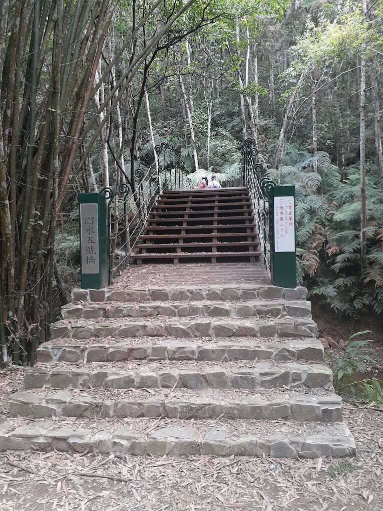 【2025最新】探索澀水森林步道的理由｜遠離城市喧囂的世外桃源