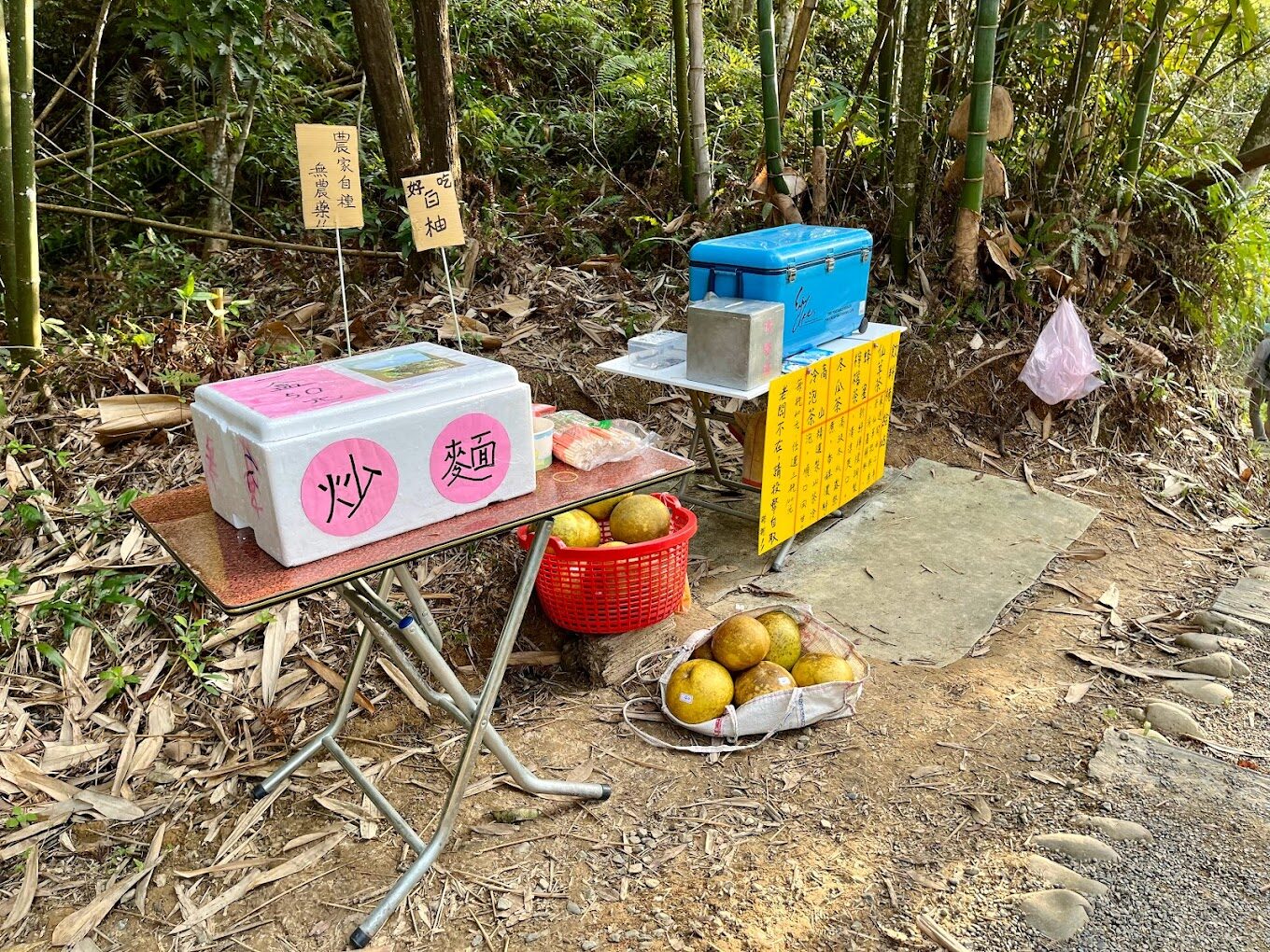 【2025最新】探索澀水森林步道的理由｜遠離城市喧囂的世外桃源