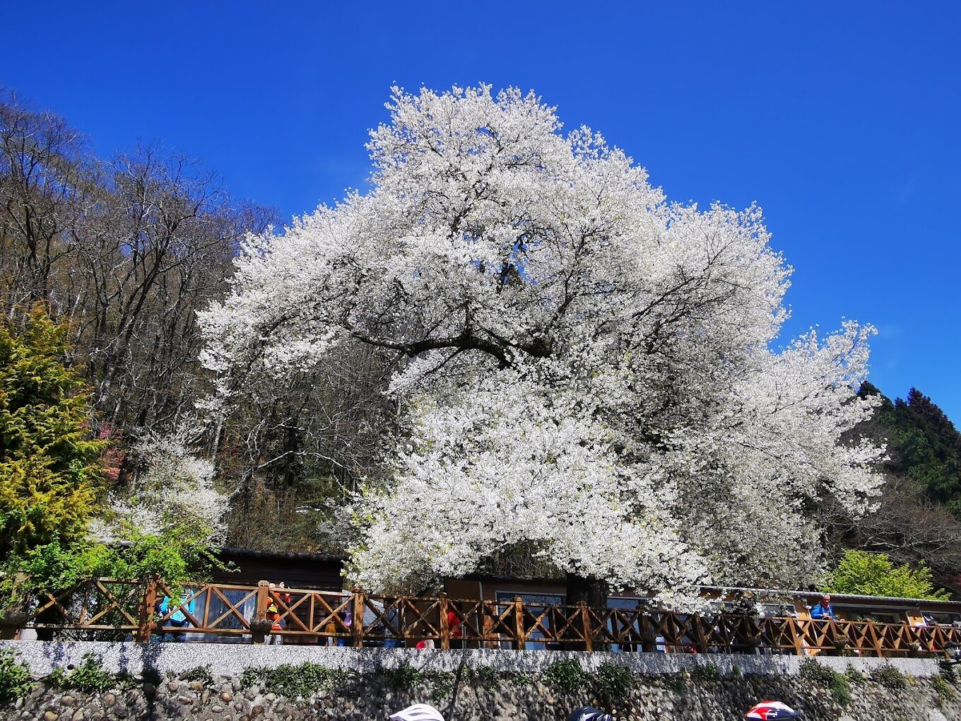 雪霸國家公園必遊景點｜不可錯過的自然奇觀