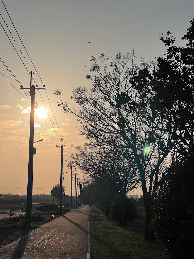 新營、白河景點大公開：2025年必訪隱藏版美景